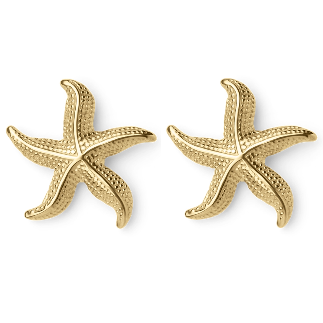 Audrey | Boucles d'oreilles en étoiles de mer courbées
